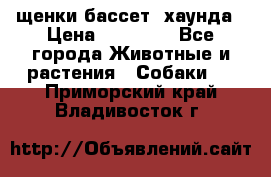 щенки бассет- хаунда › Цена ­ 20 000 - Все города Животные и растения » Собаки   . Приморский край,Владивосток г.